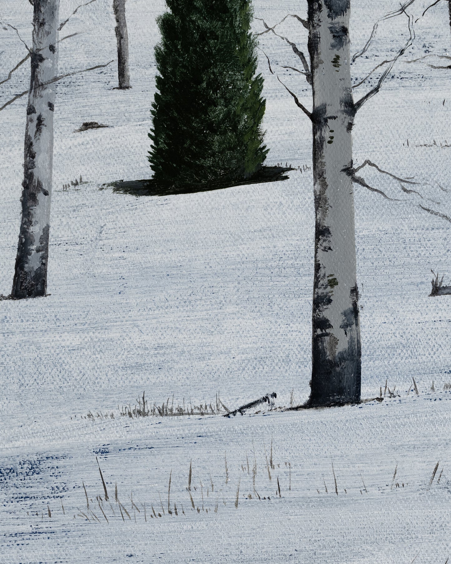 Pale Forest