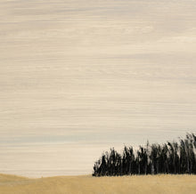 Load image into Gallery viewer, The Drifter