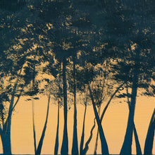 Load image into Gallery viewer, West Lake No.2