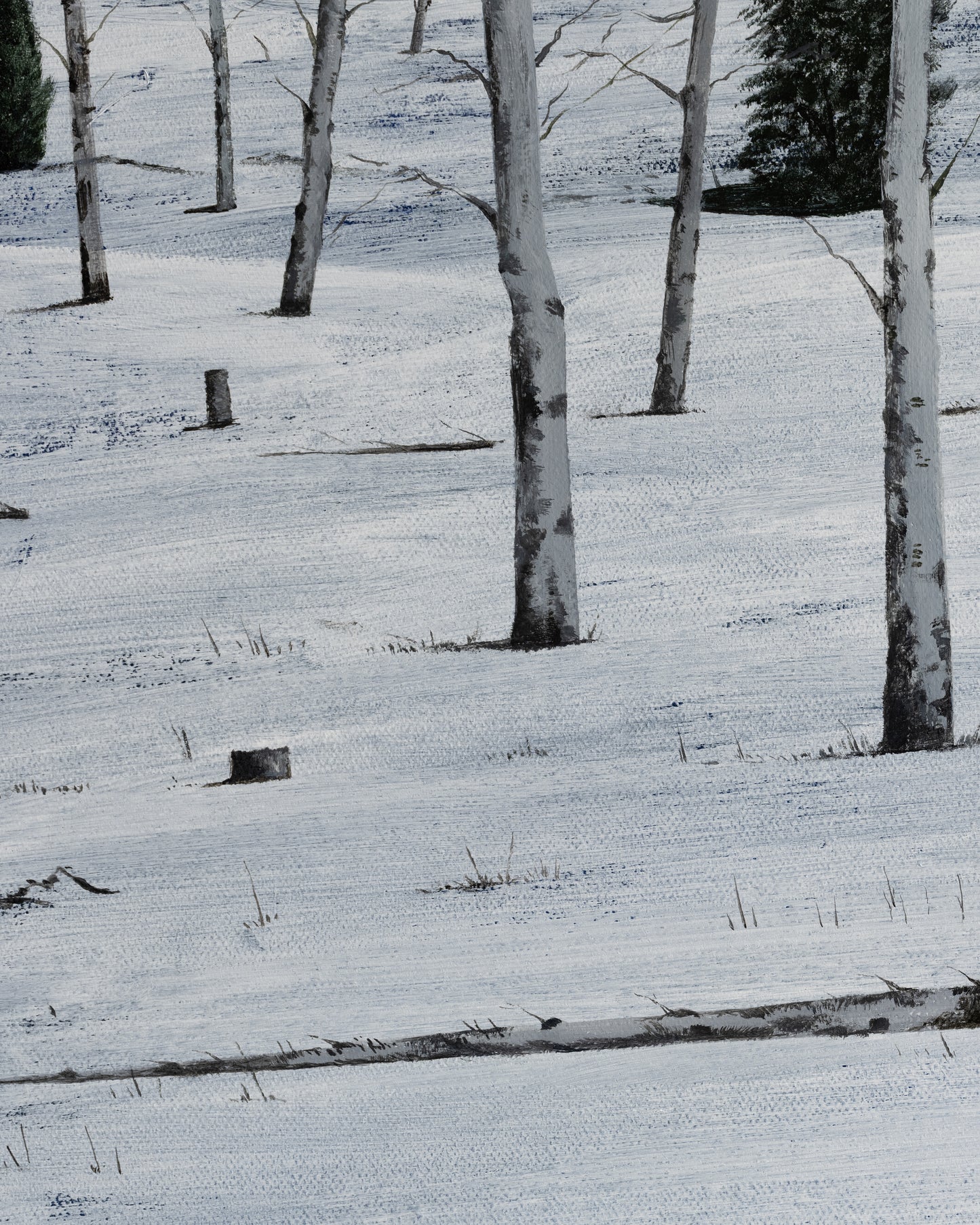 Pale Forest