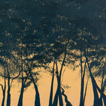 Load image into Gallery viewer, West Lake No.2