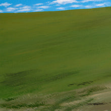 Load image into Gallery viewer, The Dream&#39;s Echo