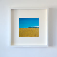 Load image into Gallery viewer, Go north