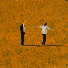 Load image into Gallery viewer, My dream ,your dance