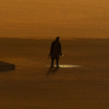 Load image into Gallery viewer, Wish I were you