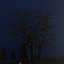 Load image into Gallery viewer, Snowy night