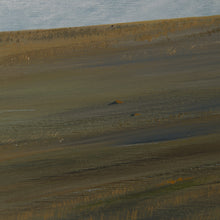 Load image into Gallery viewer, A day with me and white clouds