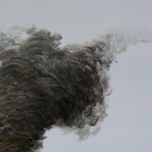 The wind blew