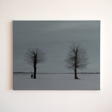 Load image into Gallery viewer, -39°C