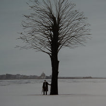 Load image into Gallery viewer, -39°C
