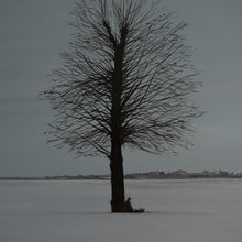 Load image into Gallery viewer, -39°C