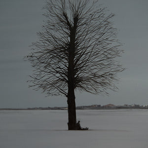 -39°C