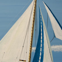 Load image into Gallery viewer, Guests on white sails