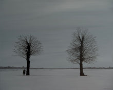 Load image into Gallery viewer, -39°C