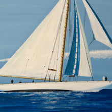 Load image into Gallery viewer, Guests on white sails