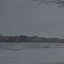 Load image into Gallery viewer, -39°C