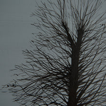 Load image into Gallery viewer, -39°C